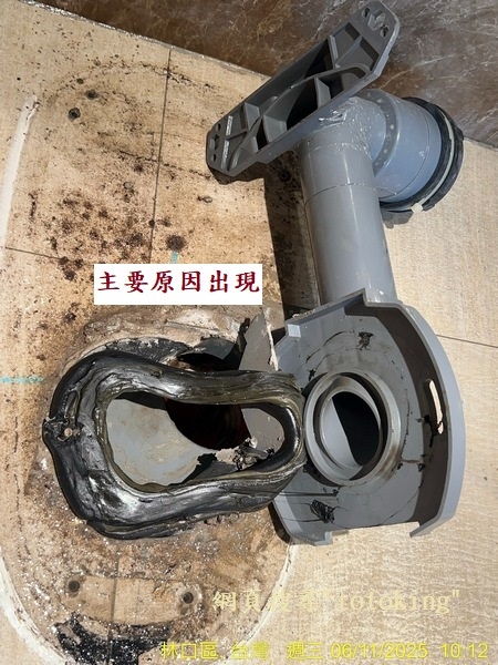 S__8429753_0.jpg
