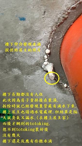S__9912369.jpg