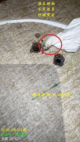 S__9912407_2.jpg