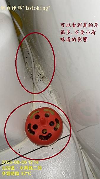 S__10067981_0.jpg
