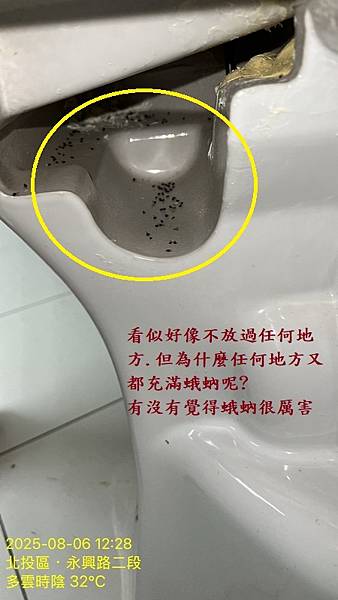 S__10067990_0.jpg