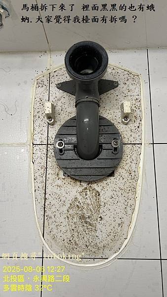S__10067987_0.jpg