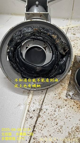 S__10067992_0.jpg