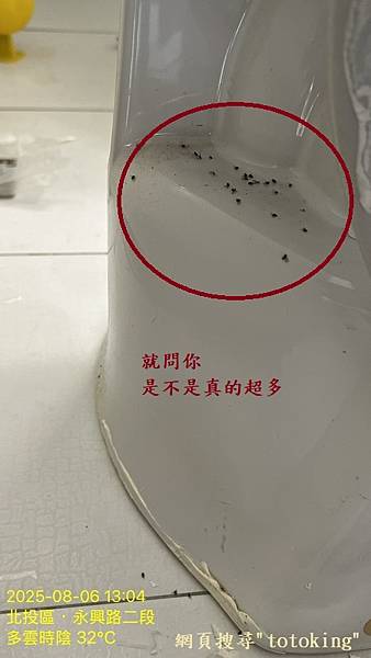 S__10067997_0.jpg
