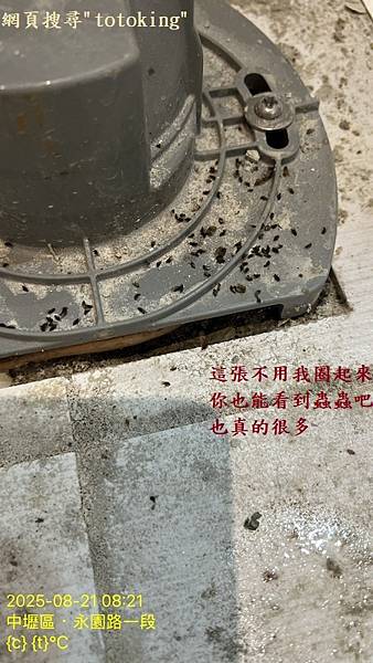 馬桶臭 馬桶漏 馬桶重裝 浴室飛蟲 浴室臭味 馬桶問題 TO