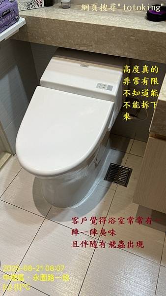 馬桶臭 馬桶漏 馬桶重裝 浴室飛蟲 浴室臭味 馬桶問題 TO