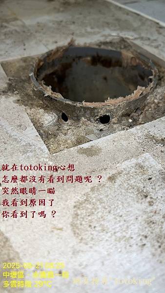馬桶臭 馬桶漏 馬桶重裝 浴室飛蟲 浴室臭味 馬桶問題 TO