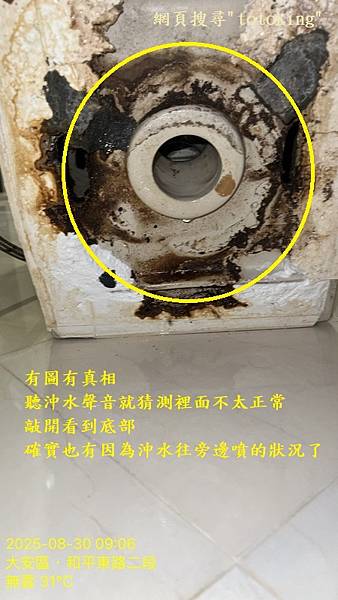 S__10993719_0.jpg