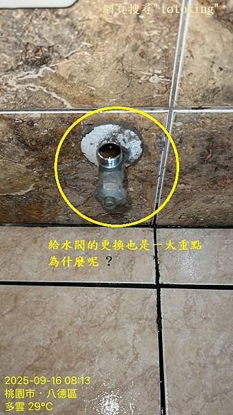 TOTO單體馬桶 TOTO CW887 TOTO馬桶管距 T