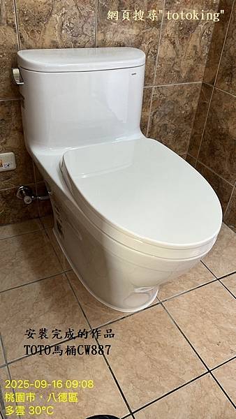 TOTO單體馬桶 TOTO CW887 TOTO馬桶管距 T