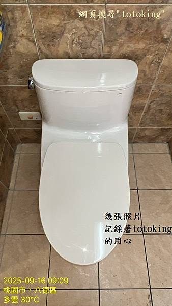 TOTO單體馬桶 TOTO CW887 TOTO馬桶管距 T