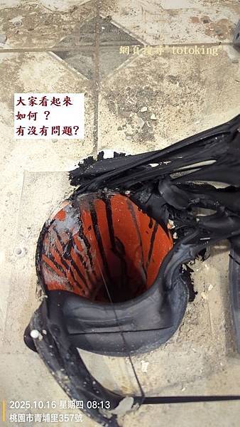 馬桶臭 TOTO馬桶臭 浴室臭味來源 浴室為什麼臭 浴室一陣