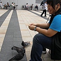 305東京中城雪菱餵鴿子.JPG