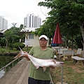 10119芭達雅淡水池釣11公斤泰國鯰魚.JPG