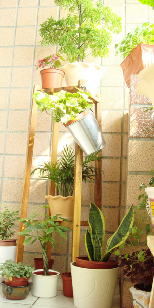 KUKU garden 004.jpg