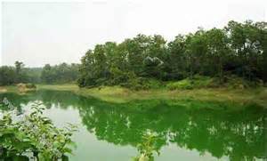 thVX14YO40 thVX14YO40