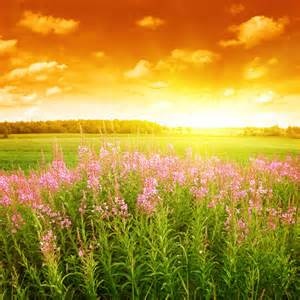 thZAXVML8Z thZAXVML8Z