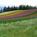 2010_Hokkaido_184.jpg