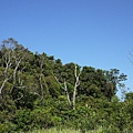 Kenting_20110604069.jpg