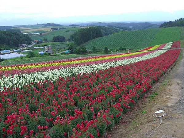 2010_Hokkaido_137.jpg