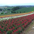 2010_Hokkaido_137.jpg