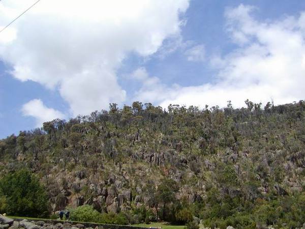 Launceston 鎮上的 Cataract Gorge