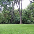 Fitzroy Garden