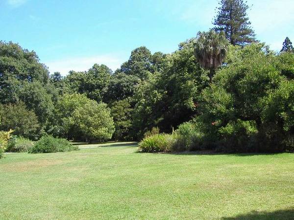 Royal Botanic Garden