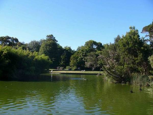 Royal Botanic Garden