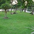 Chatuchak Park