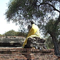 Wat Phra Ram 的遺跡
