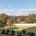 20111023055.jpg