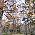 20111024089.jpg