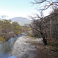 20111024117.jpg