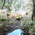 20111024177.jpg