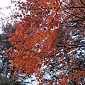 20111024208.jpg