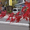 20111025052.jpg