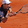 Djokovic_French_2012_11