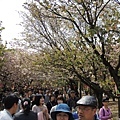 20130416_Nikon_167