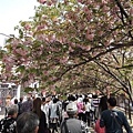 20130416_Nikon_160