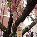 20130416_Nikon_151