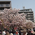 20130416_Nikon_081