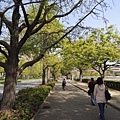 20130416_Nikon_042