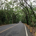 20130726_Taichung_197.jpg