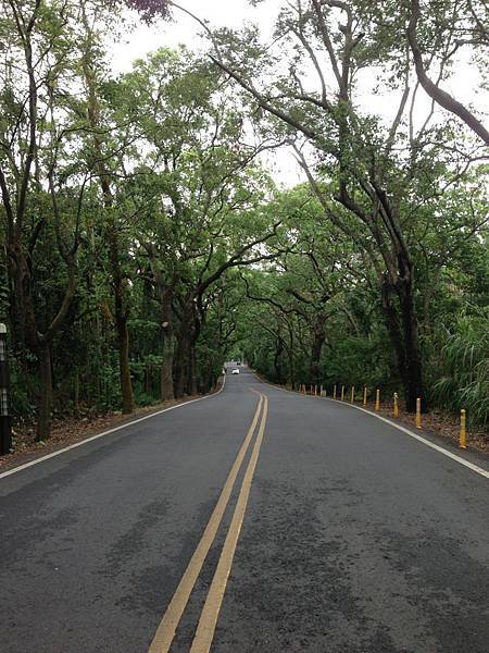 20130726_Taichung_207.jpg