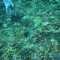 20130809_Snorkeling_027.jpg