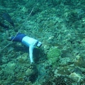 20130809_Snorkeling_028.jpg