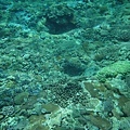 20130809_Snorkeling_031.jpg