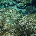 20130809_Snorkeling_035.jpg