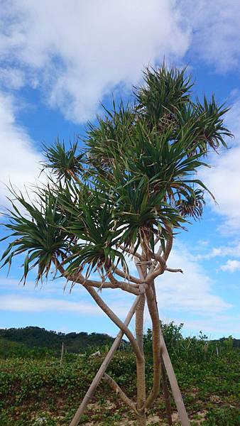 20131221_Kenting_160.jpg